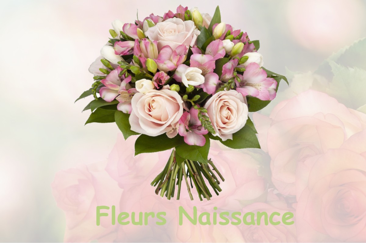 fleurs naissance SAINT-FIRMIN-DES-BOIS