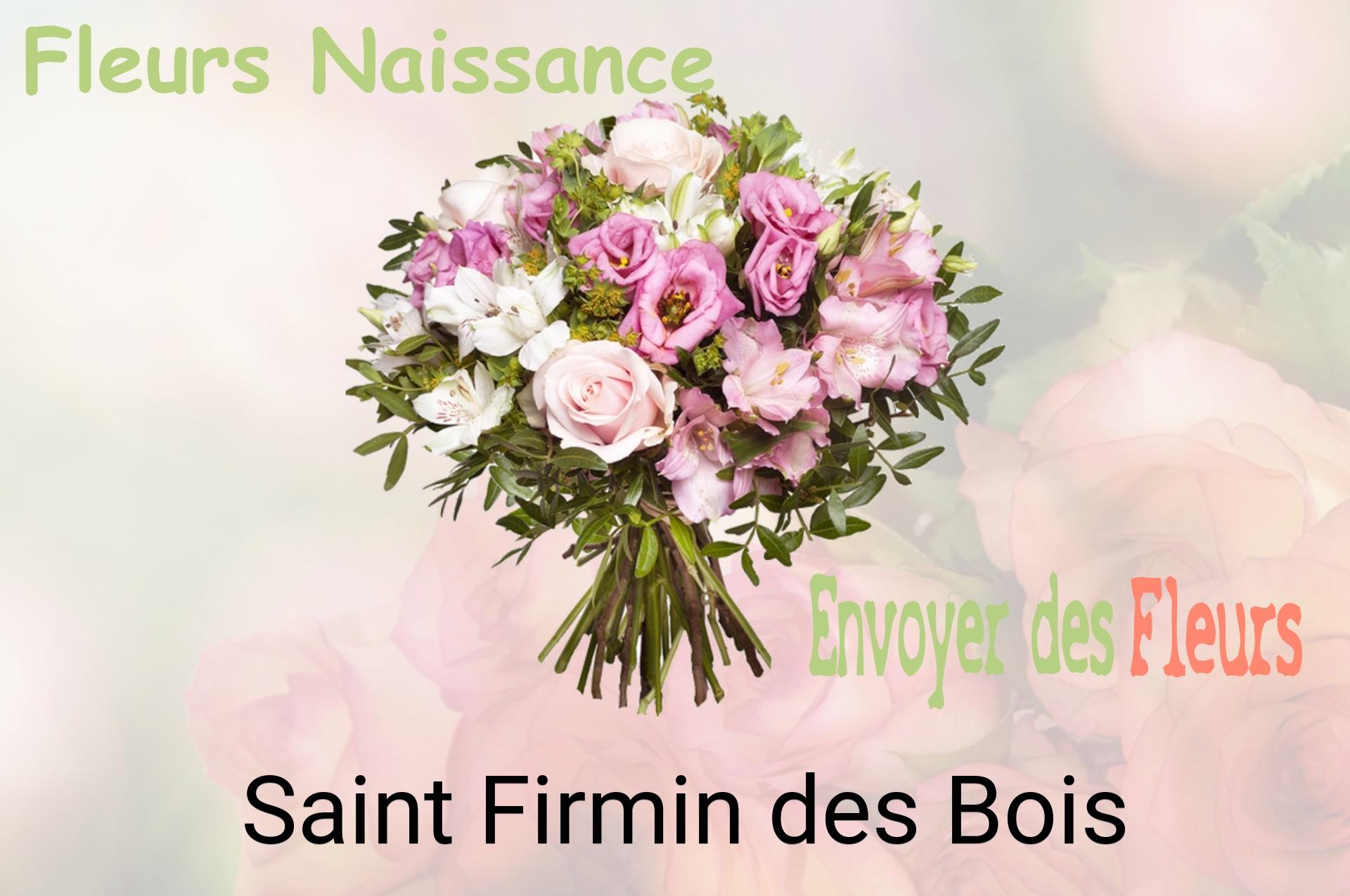 Bouquet de fleurs de naissance livré à Saint-Firmin-des-Bois