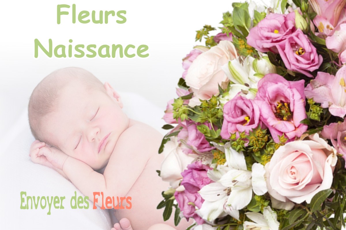 lIVRAISON FLEURS NAISSANCE à SAINT-FIRMIN-DES-BOIS